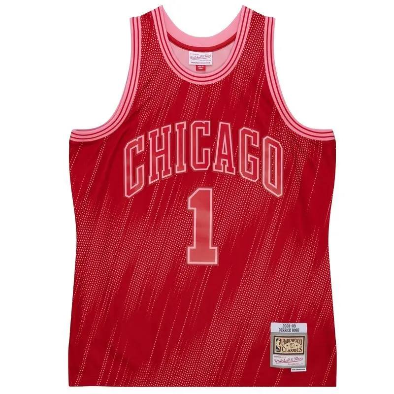 Chicago Bulls 2008